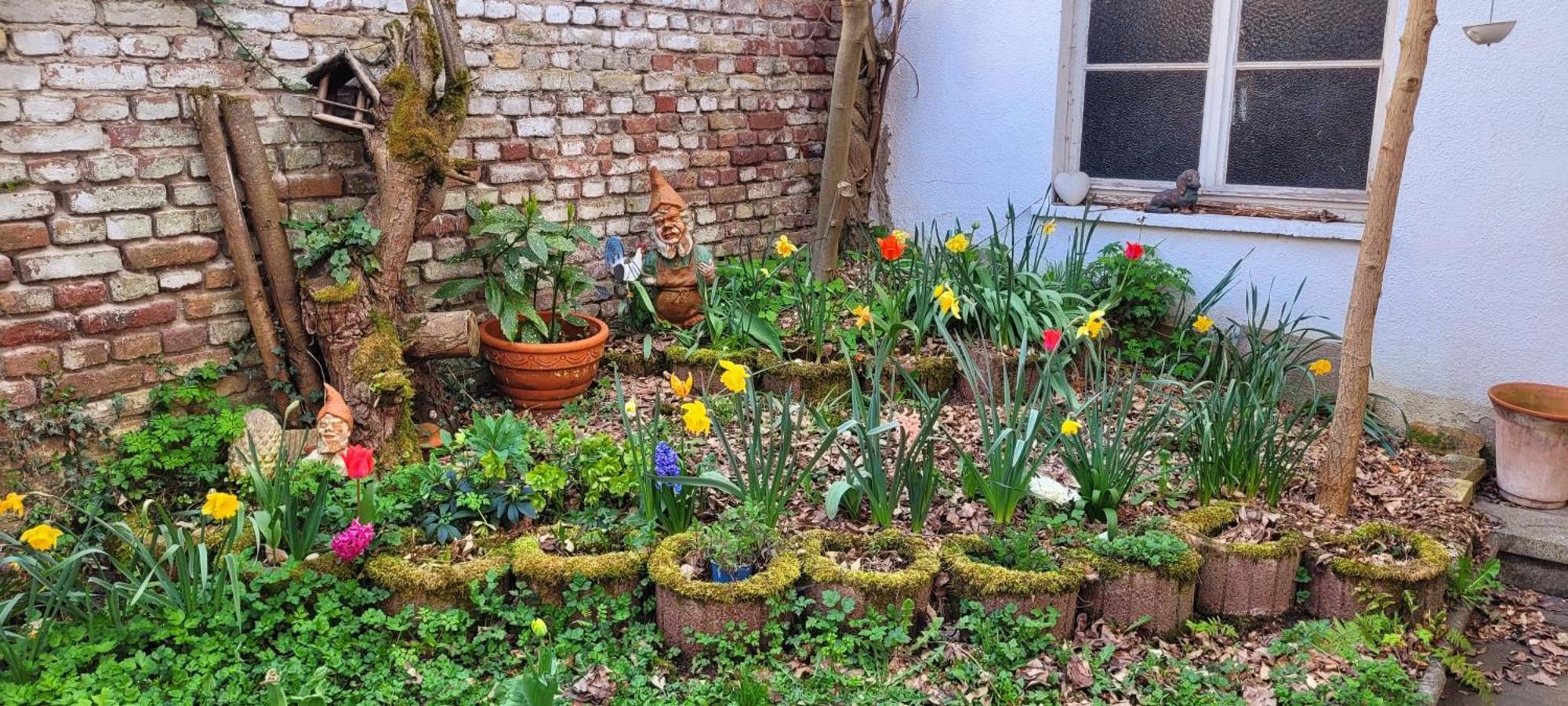 Urlaub Am Rhein, Ferienwohnung Mit Garten Boppard Exterior foto