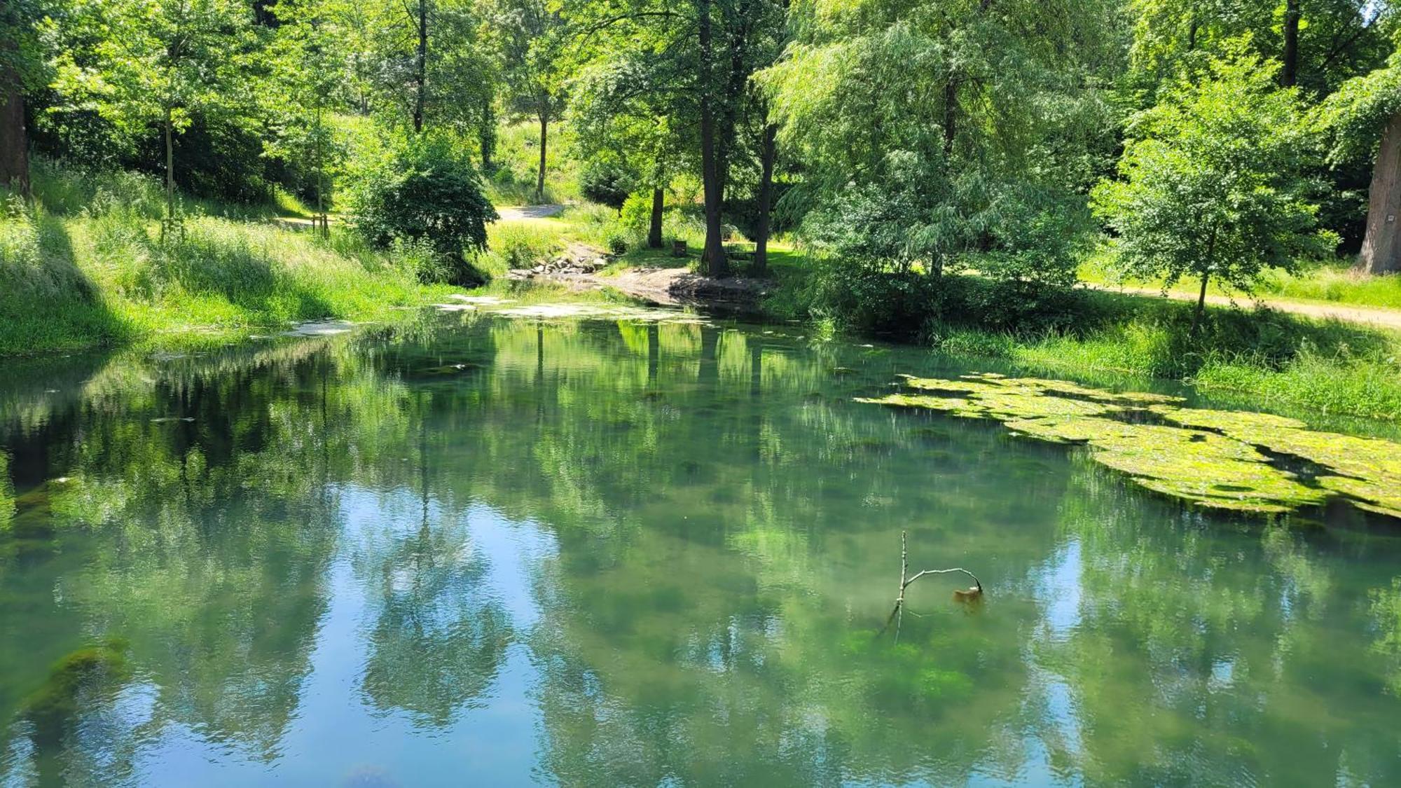 Urlaub Am Rhein, Ferienwohnung Mit Garten Boppard Exterior foto